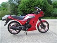 GPZ 305