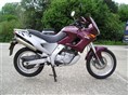 Pegaso 650