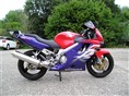 CBR 600 FY