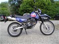 XT 350