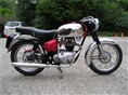 Crusader Sports 250